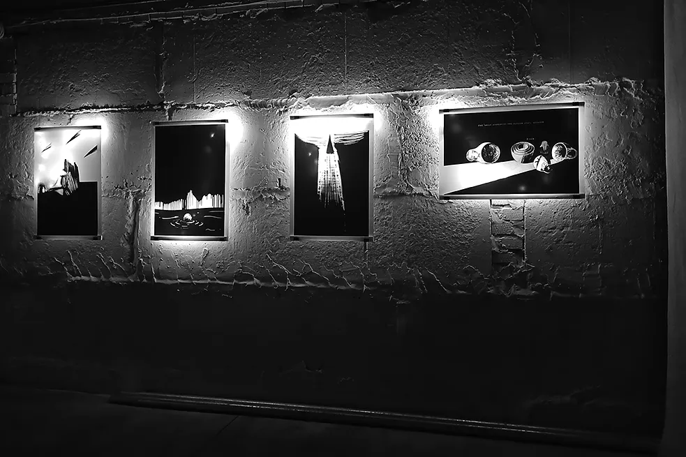 Обкладинка проєкту "Poisoning" від євген григор'єв, проєкт типу Виставки, базується у Підземний перехід "Ваґабундо" вул. Пилипа Орлика, буд. 7, Івано-Франківськ, створено у 27.02.2026