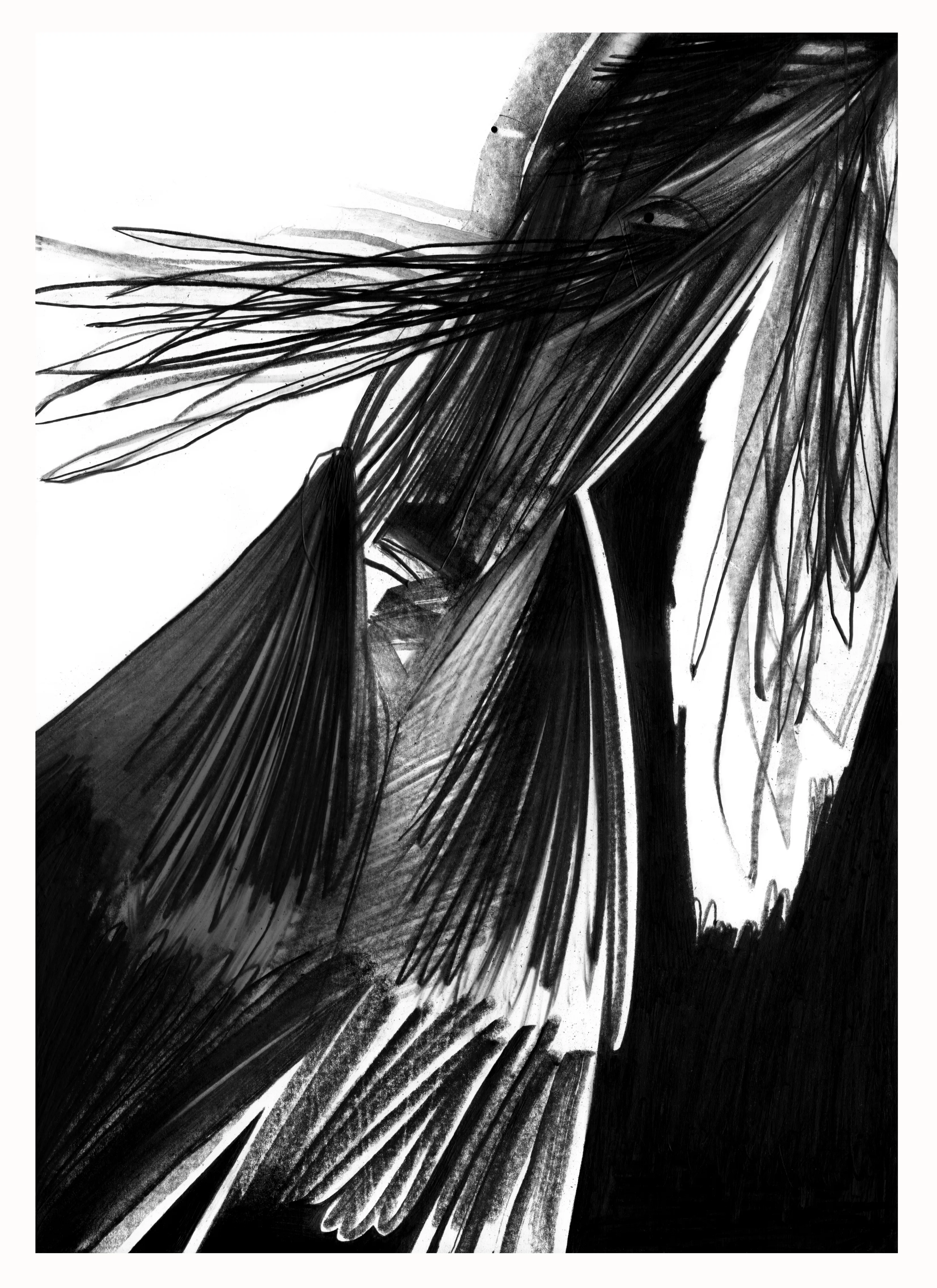 Зображення "Сльози повіки" від євген григор'єв, розмір: А3, матеріали: папір, графіт, медіум: Графіка, місто: Львів, серія: "Чорне,сіре, біле", ціна: €300