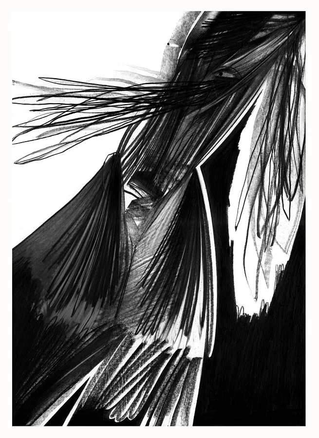 Зображення "Сльози повіки" від євген григор'єв, розмір: А3, матеріали: папір, графіт, медіум: Графіка, місто: Львів, серія: "Чорне,сіре, біле", ціна: €300