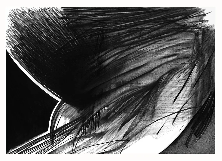 Зображення "ню-ню" від євген григор'єв, розмір: А3, матеріали: папір, графіт, медіум: Графіка, місто: Львів, серія: "Чорне,сіре, біле", ціна: €300