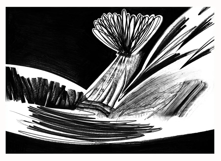 Зображення "Пейзаж" від євген григор'єв, розмір: А3, матеріали: папір, графіт, медіум: Графіка, місто: Львів, серія: "Чорне,сіре, біле", ціна: €300