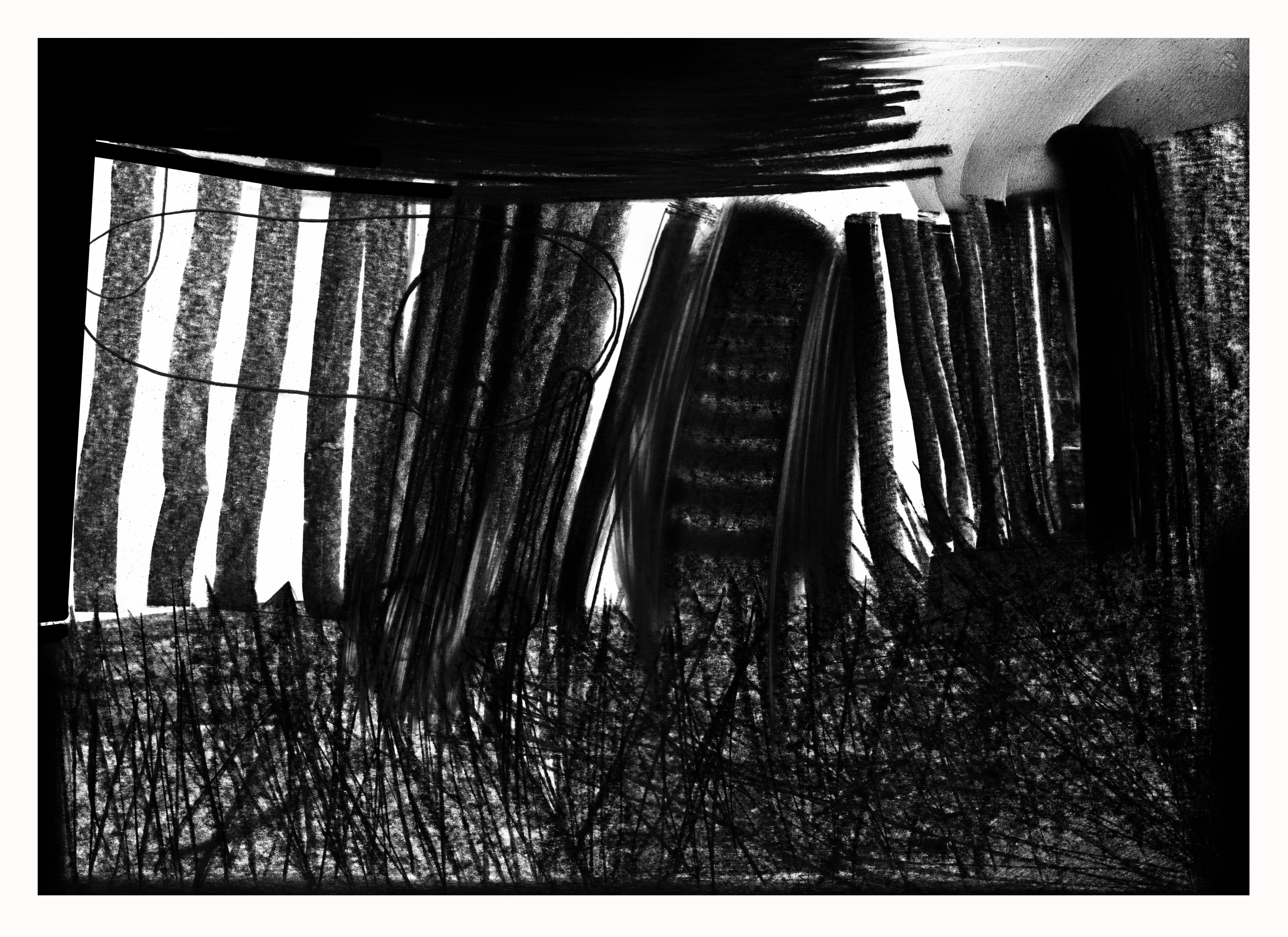 Зображення "Спальнік або паркан" від євген григор'єв, розмір: А3, матеріали: папір, графіт, місто: Львів